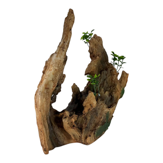 Hollow Tree Trunk Aquarium Ornament with realistic driftwood design and lush greenery for aquarium decoration.