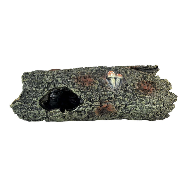 Hollow tree trunk aquarium ornament featuring realistic texture and woodland charm for aquariums and terrariums.