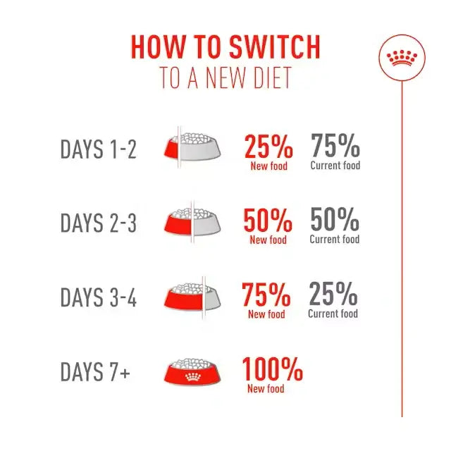 How to switch to a new diet for cats over a 7-day period.