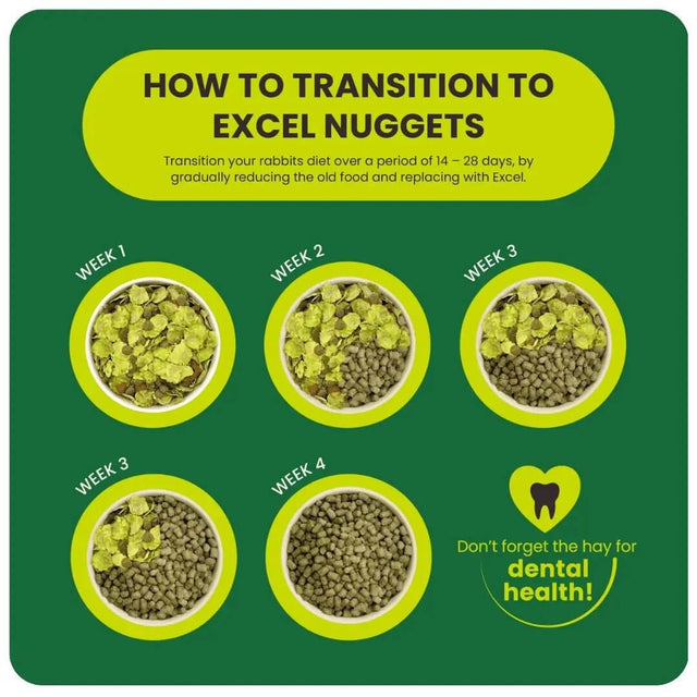 Guide to transitioning rabbits to Excel Nuggets over 28 days with visual weekly steps and dental health reminder.