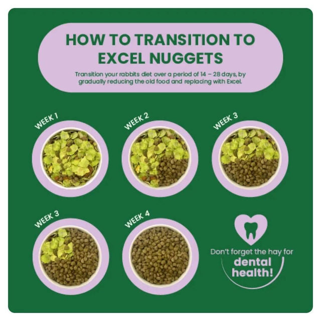 Guide for transitioning rabbits to Excel Nuggets over 4 weeks with emphasis on dental health and diet changes.
