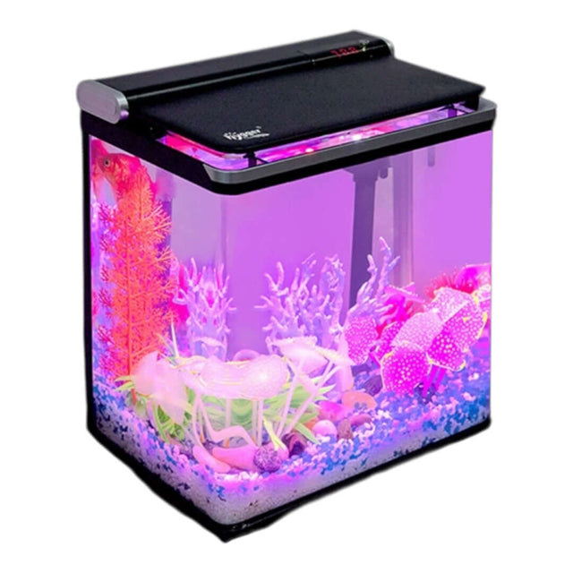 Hygger Curve Mini Betta Aquarium 15L with vibrant decorations and LED lights, ideal for small spaces and desktop use.