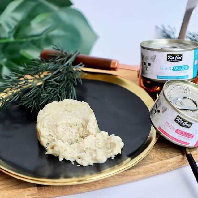 Kit Cat Kitten Chicken Mousse served on a black plate with cans in the background, showcasing wholesome, grain-free cat food.