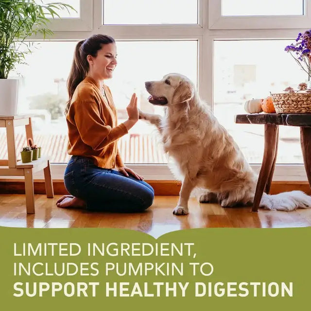 Woman and dog interacting indoors, promoting limited ingredient dog food with pumpkin for healthy digestion.