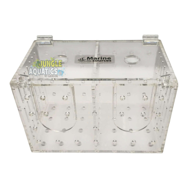 Marine Sources Fish Isolation Box with two removable compartments and transparent acrylic design.