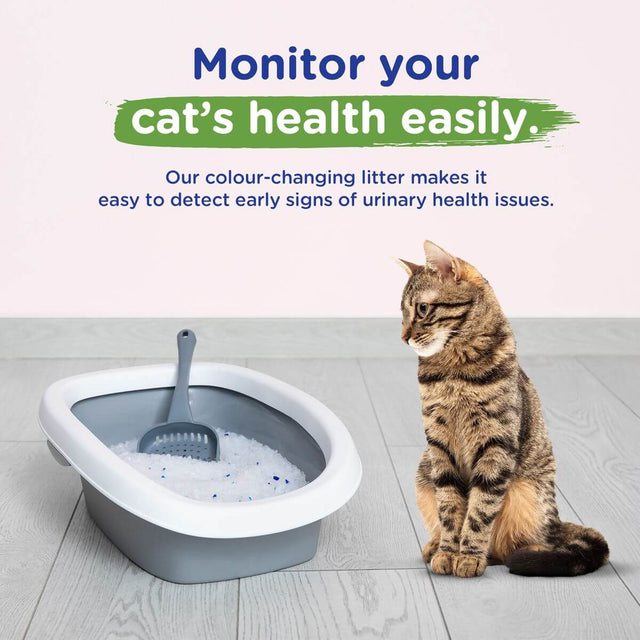 Marltons Micro Crystal Cat Litter with Health Indicator, monitoring cat health with color-changing technology.