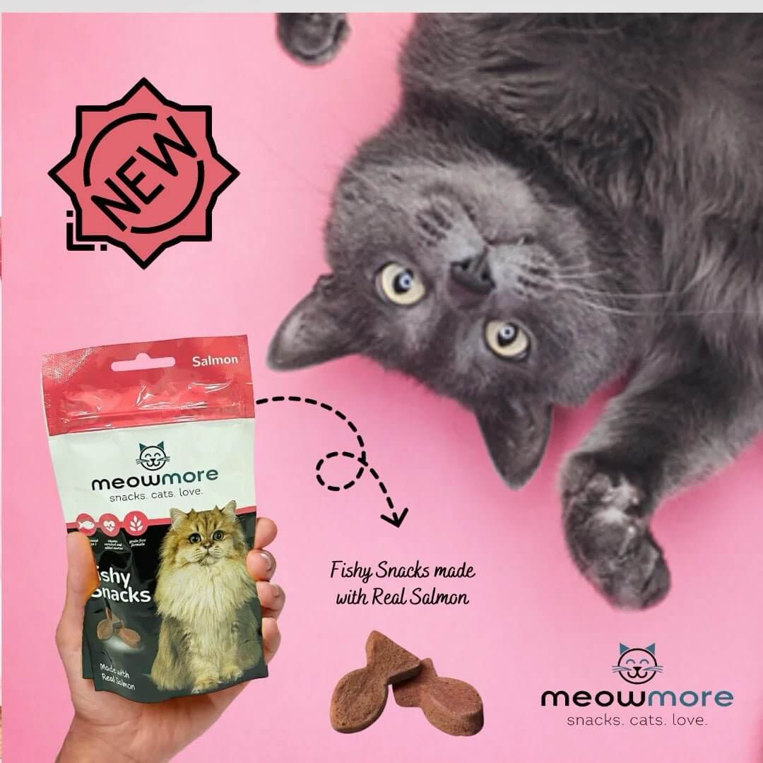 Cute gray cat with Meow More Fishy Snacks bag featuring real Salmon on a pink background.