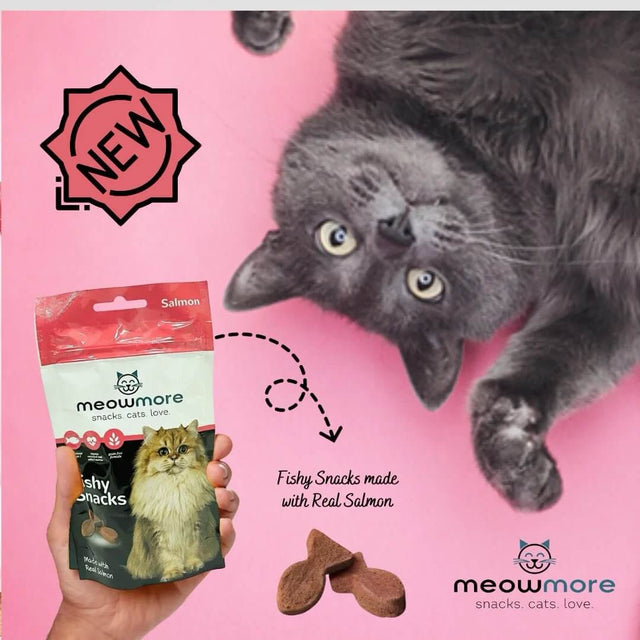 Cute gray cat with Meow More Fishy Snacks bag featuring real Salmon on a pink background.