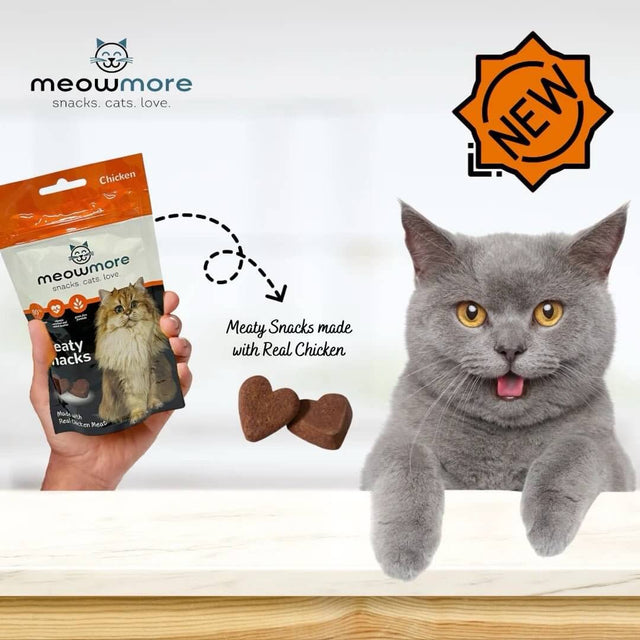 Cat enjoying Meow More Meaty Snacks made with real chicken, showcasing 35g pack and playful ambiance.