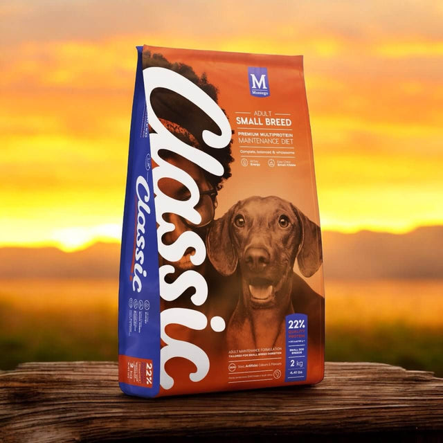Montego Classic Adult Small Breed Dog Food bag against a sunset background, featuring a dog's face and premium nutrition details.