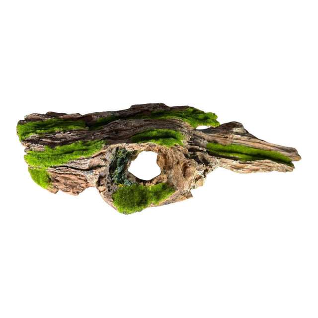 Moss covered tree stump aquarium ornament adding natural beauty to fish tanks, detailed texture of wood and moss.