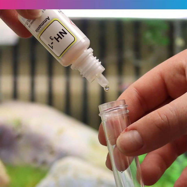 Person adding liquid reagent to test tube from NT Labs Ammonia Test Kit for aquarium ammonia testing.