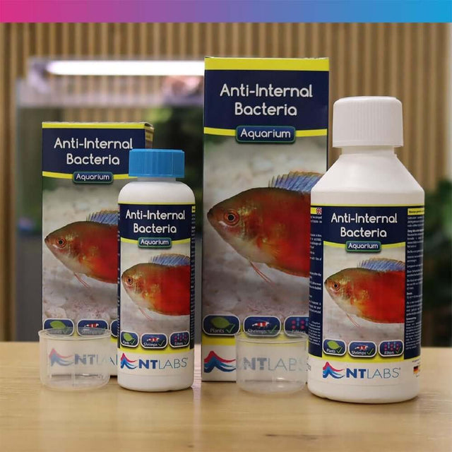 NT Labs Anti-Internal Bacteria treatment for fish in tropical and coldwater aquariums, effective against harmful bacteria.