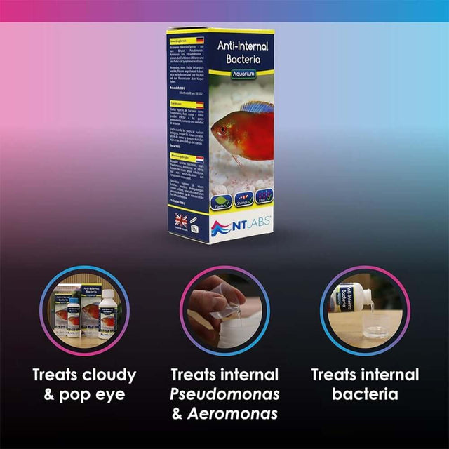 NT Labs Anti-Internal Bacteria product for treating cloudy eyes and internal bacteria in aquariums.