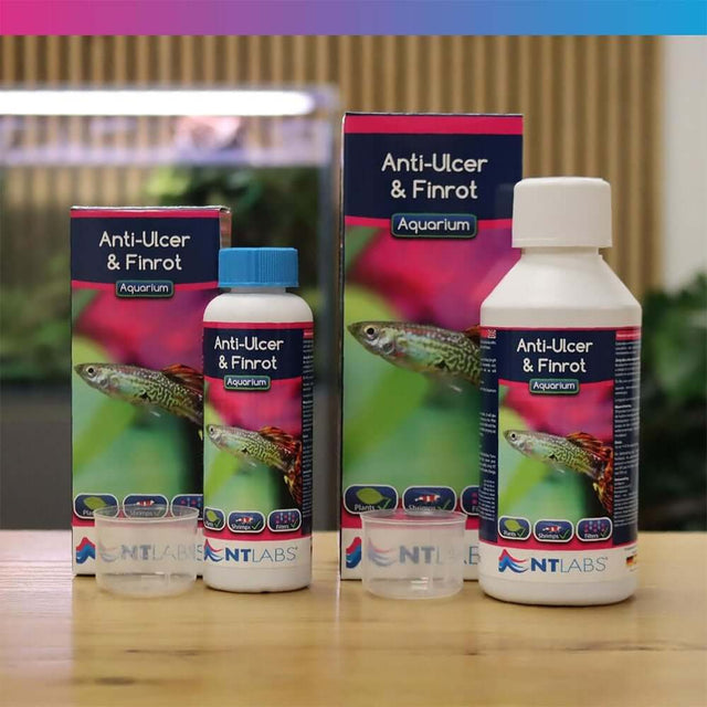 NT Labs Anti-Ulcer and Finrot treatment for aquariums, effective against bacteria in fish, safe for all species.