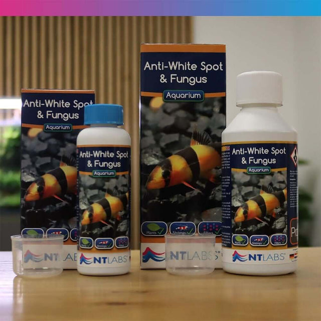 NT Labs Anti-White Spot and Fungus treatment bottles for aquariums, suitable for tropical and coldwater fish.