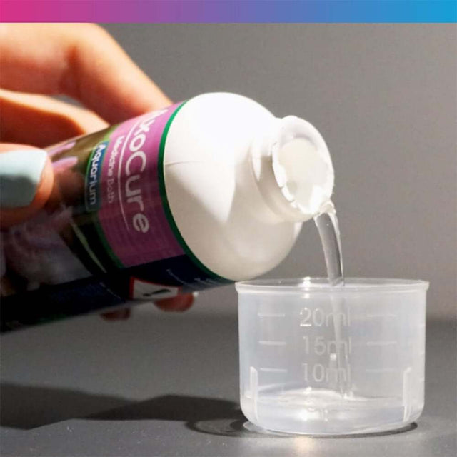 Pouring NT Labs AxoCure medicine from a bottle into a measuring cup for axolotl treatment.