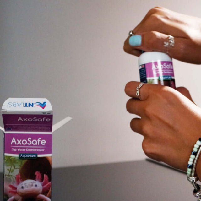 A person opening NT Labs AxoSafe aquarium dechlorinator bottle, showcasing its use for axolotls.