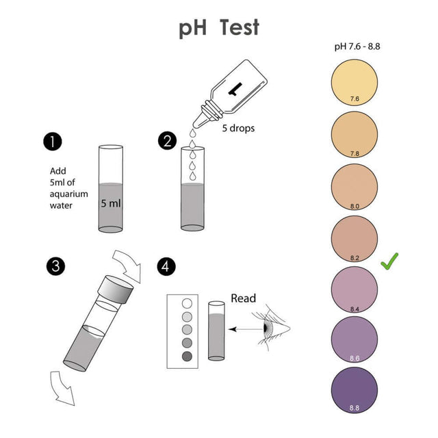 Step-by-step guide for the NT Labs Marine Lab pH Test, showing how to test aquarium water pH levels.