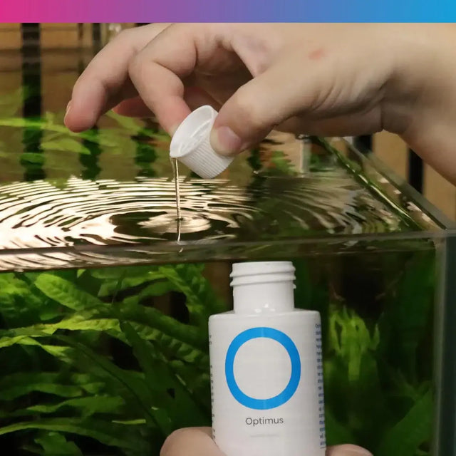 NT Labs Optimus Water Conditioner being added to aquarium water for detoxifying and conditioning.