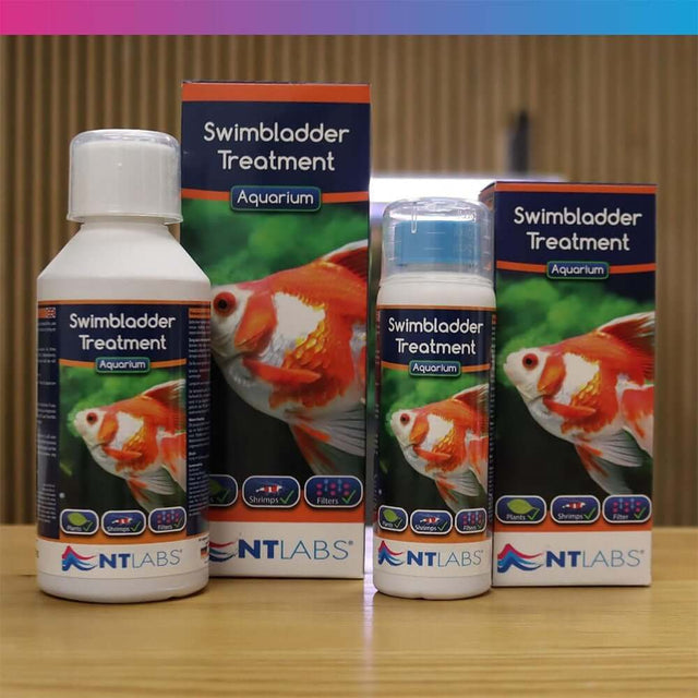 NT Labs Swimbladder Treatment bottles for aquarium fish health, aids buoyancy and addresses internal infections.