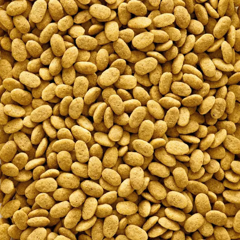 Nutribird P15 Original Maintenance Pellets - nutritious extruded pellets for parrots.