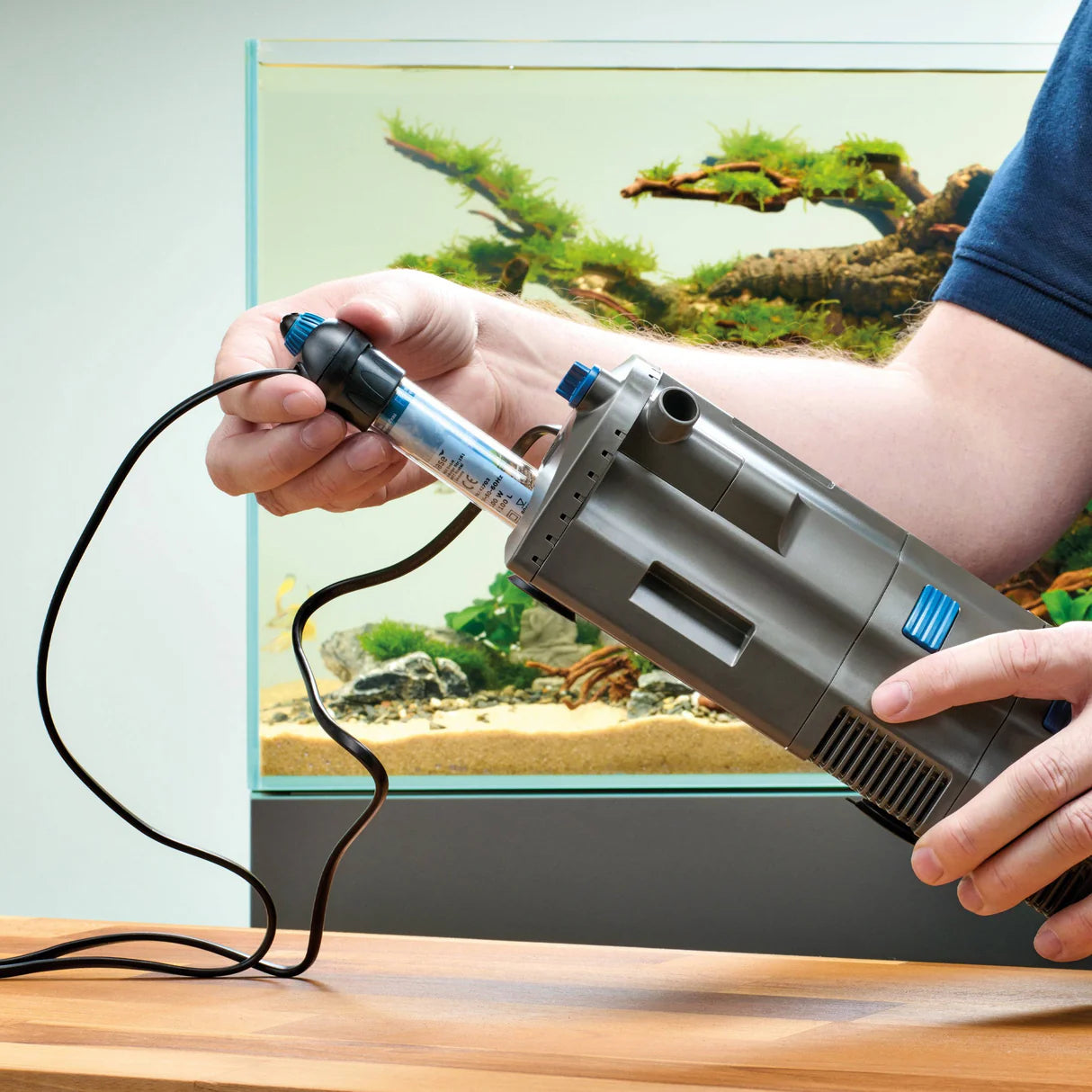 Oase HeatUp aquarium heater installation with adjustable temperature for optimal aquatic environment.