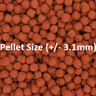 Ocean Nutrition Formula One Pellets, soft red pellets approximately 3.1mm in size for carnivorous fish.