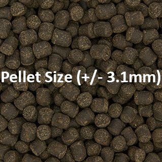 Close-up of Ocean Nutrition Formula Two Pellets, showing pellet size of approximately 3.1mm, ideal for fish feeding.