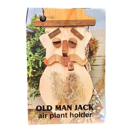 Old Man Jack Air Plant Holder - Buy Online - Jungle Aquatics