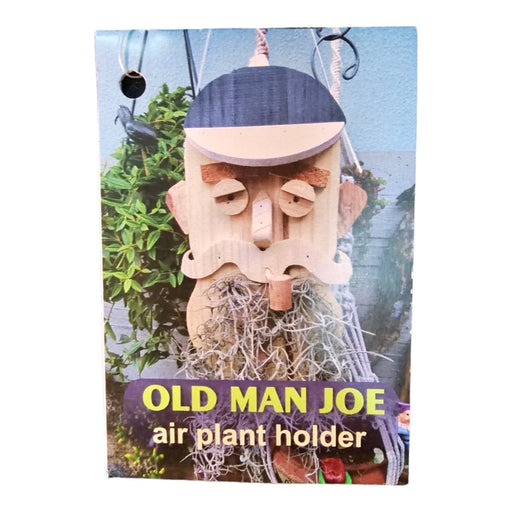 Old Man Joe Air Plant Holder - Buy Online - Jungle Aquatics