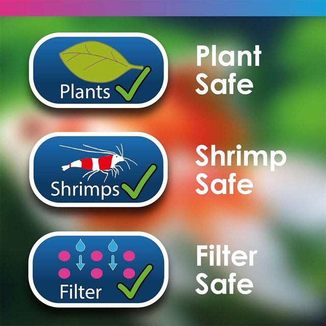 Images illustrating safety for plants, shrimps, and filter in aquarium treatments.