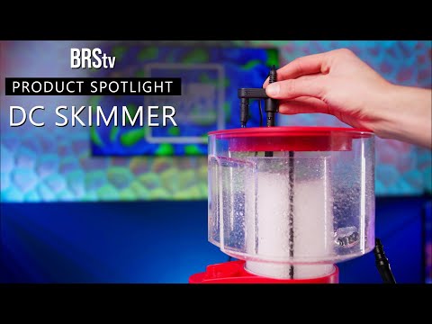 Red Sea Reefer DC Protein Skimmers Review