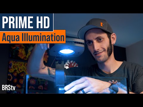 AI Prime 16 HD LED Reef Light - Black