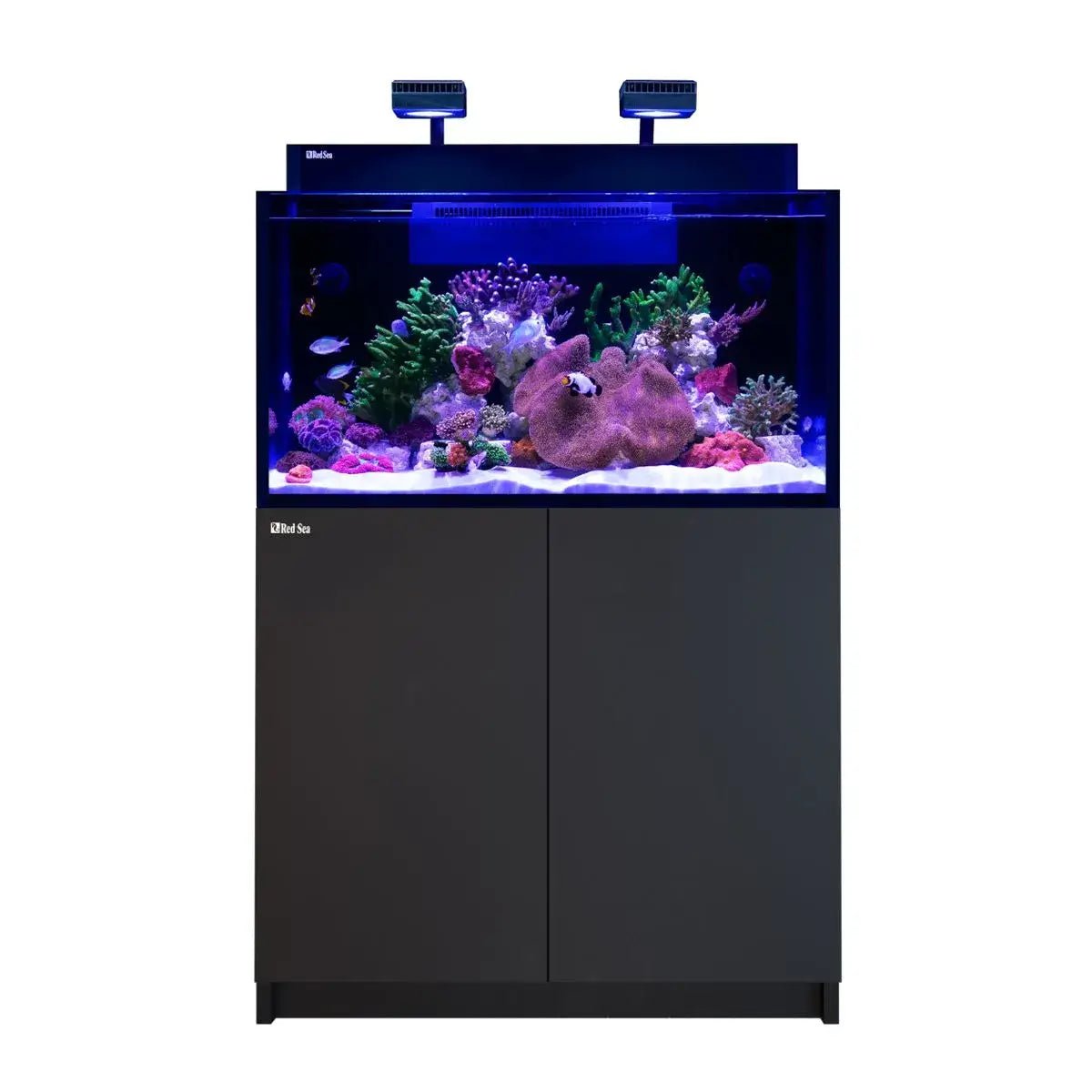 Red Sea Max NANO G2 XXL Cube Reef Aquarium System 200L with vibrant marine life and dual ReefLED 50 lights.