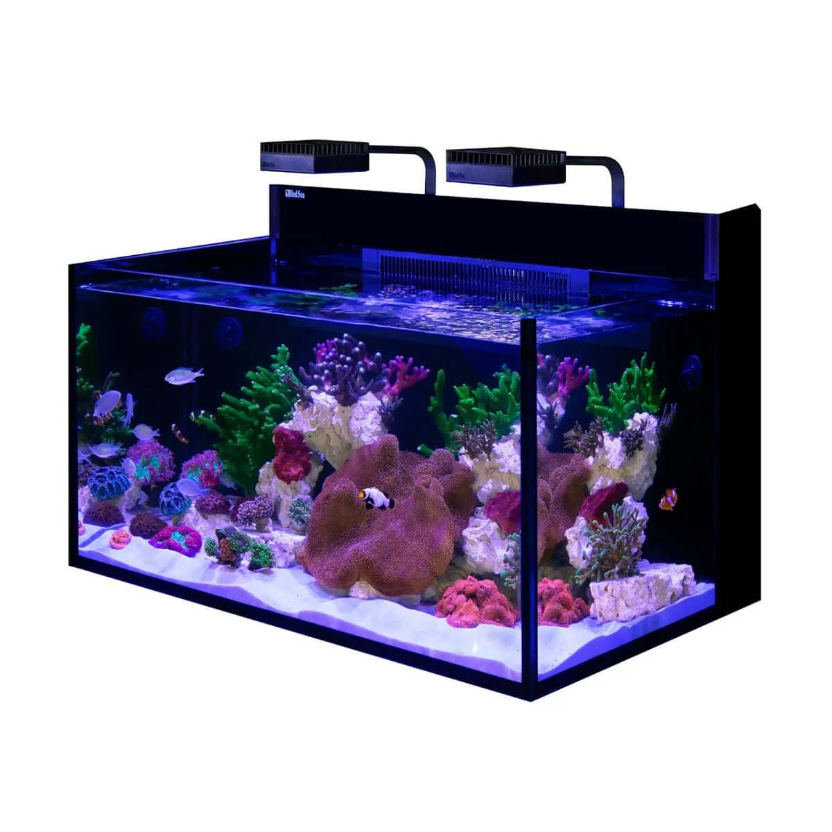 Red Sea Max NANO G2 XXL Cube 200L reef aquarium with colorful corals and LED lighting.