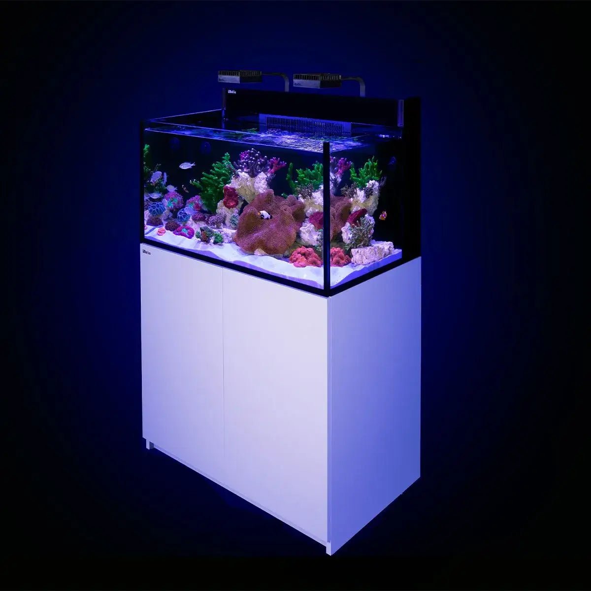 Red Sea Max NANO G2 XXL Cube 200L reef aquarium system with LED lights and white cabinet.