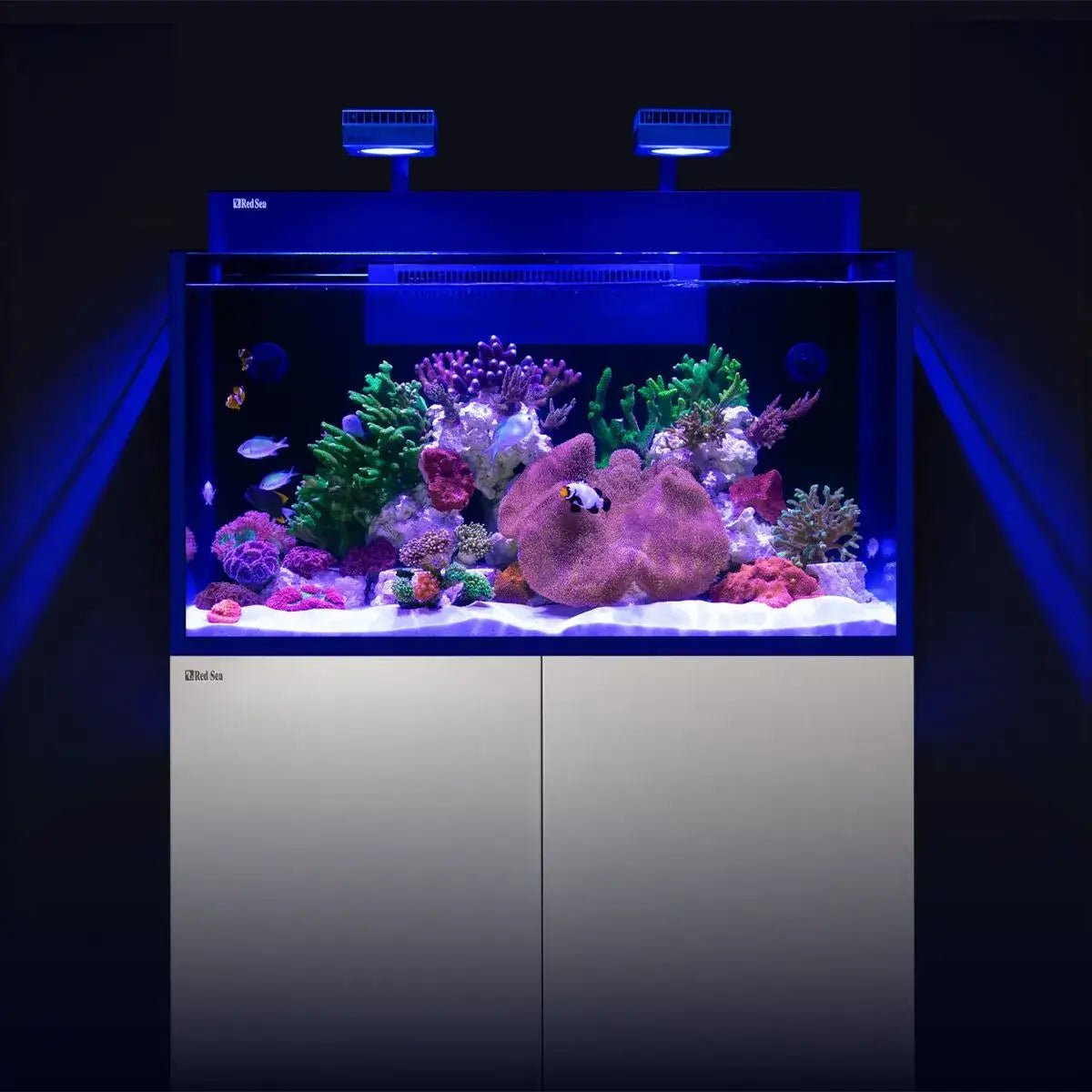 Red Sea Max NANO G2 XXL Cube 200L Complete Reef Aquarium with vibrant corals and fish.