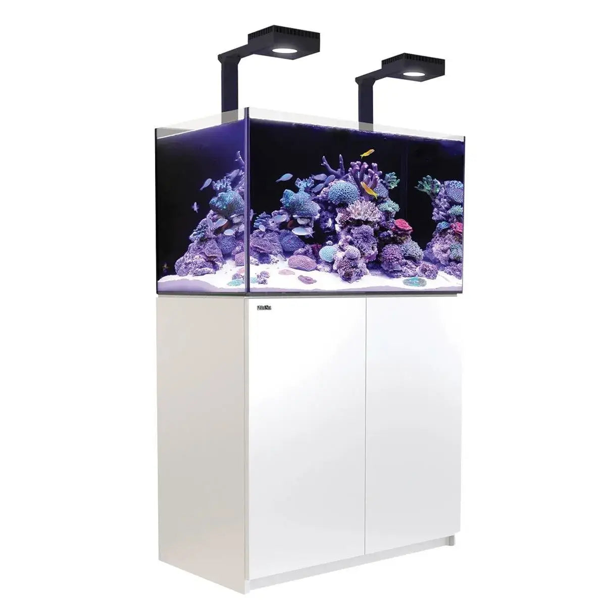 Red Sea Reefer G2+ 250 aquarium with vivid corals and LED lighting, perfect for reef enthusiasts.