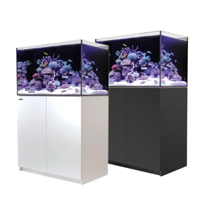 Red Sea Reefer G2+ 250 aquarium in black and white cabinets showcasing vibrant coral and fish.