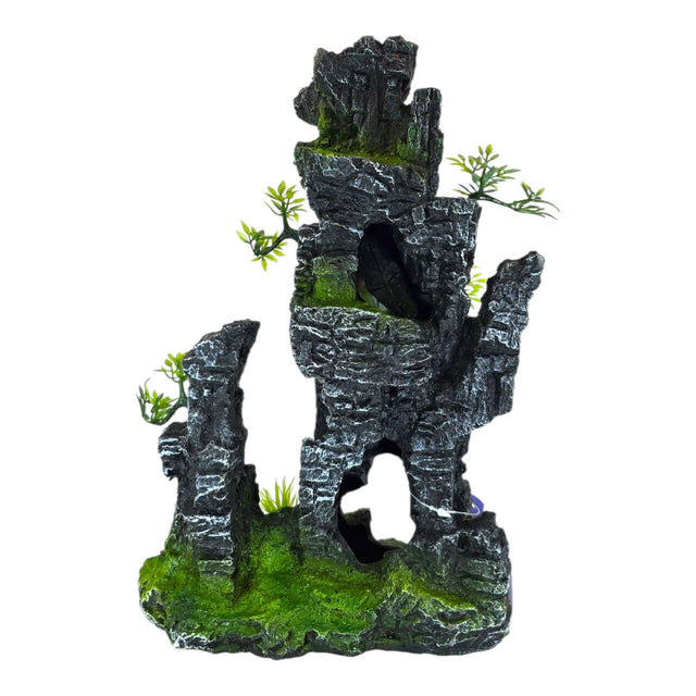 Rock Hill aquarium decoration with plants and moss, adding a natural touch to aquariums and terrariums.