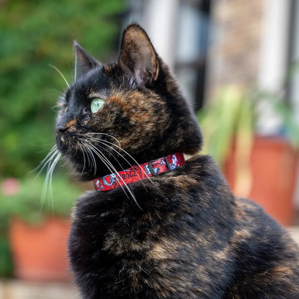 Rogz Fusion Cat Safety Collar on a tortoiseshell cat, showcasing style and safety features for pets.