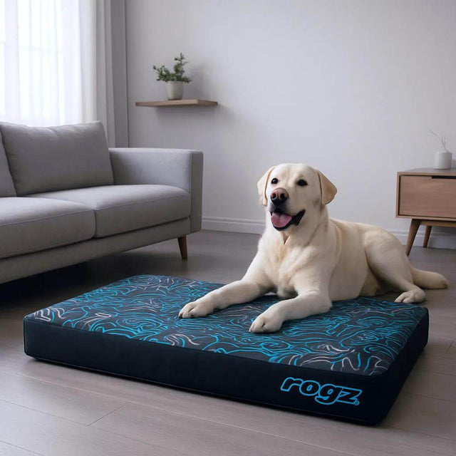 Rogz Graphix Flat Dog Bed with a happy Labrador lounging in a stylish living room.