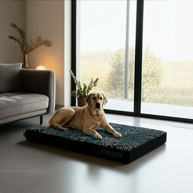 Golden retriever lounging on Rogz Graphix Flat Dog Bed in a stylish modern living room.