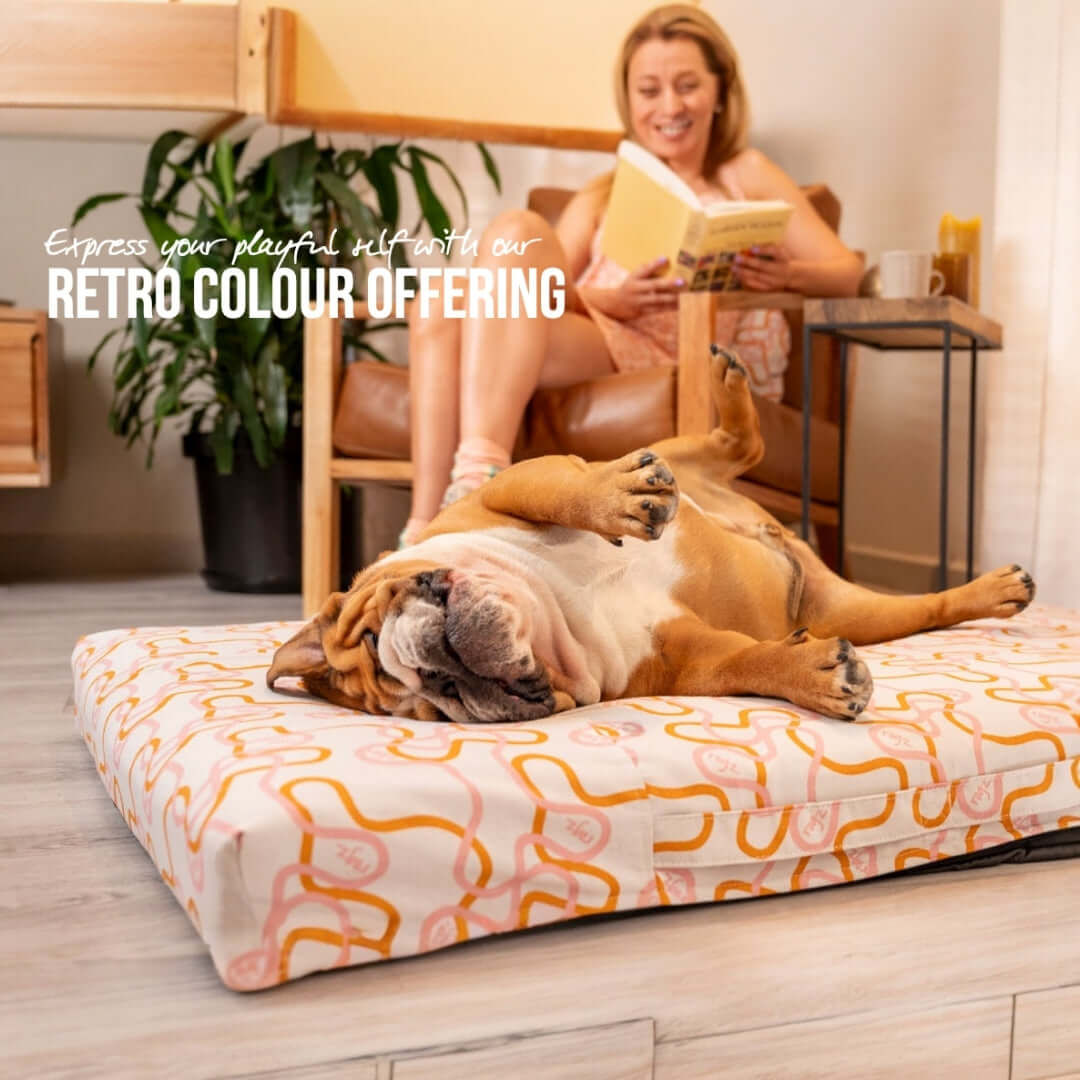 Rogz Retro Flat Rectangular Bed with playful design, perfect for dogs to relax in comfort and style.