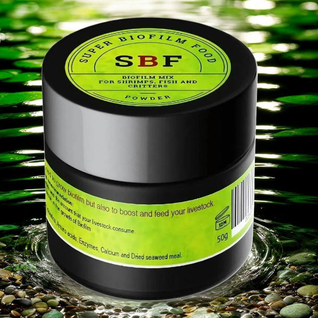 SBF Biofilm Mix powder for healthy shrimp, fish, and critters development in aquariums.