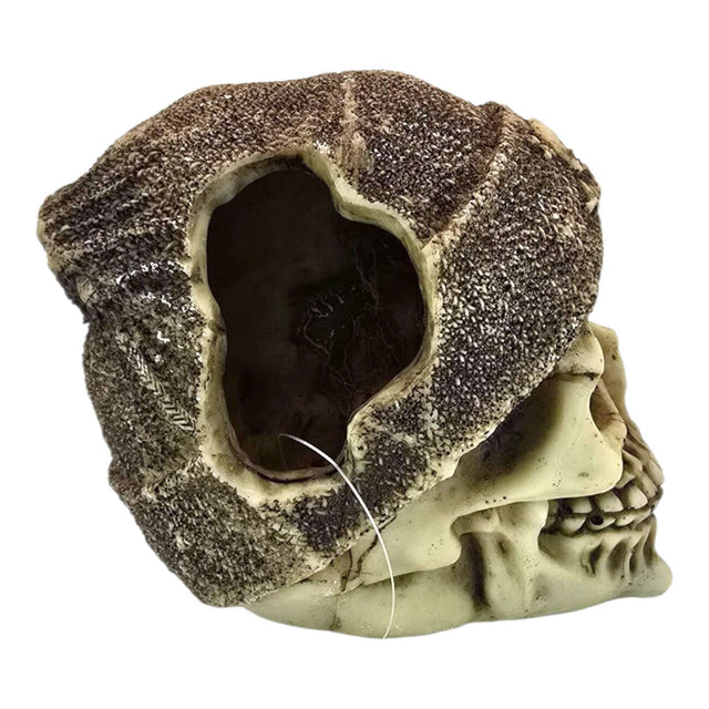 Skull with brown beanie aquarium ornament featuring detailed features and weathered finish.