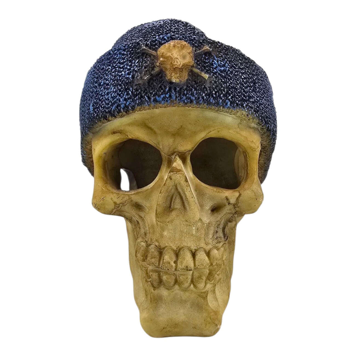 Decorative skull figurine wearing a blue knitted beanie with an insect accent, showcasing detailed bone-like texture.