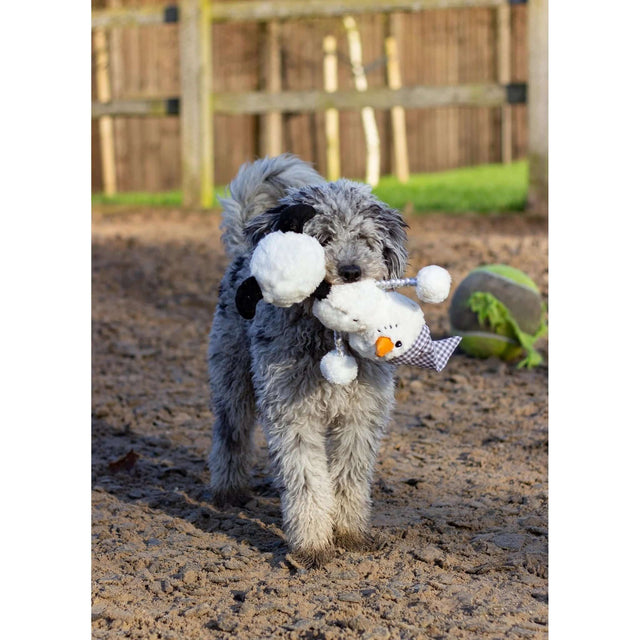 Fluffy dog playing with Snoop Snowman plush toy in a sandy outdoor area, showcasing its durability and fun design.