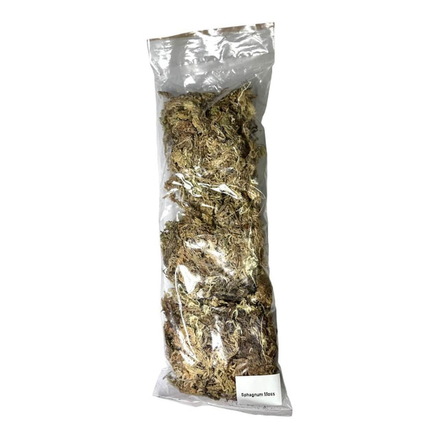 Sphagnum moss in a clear packaging, ideal for enhancing terrariums and indoor plant environments.